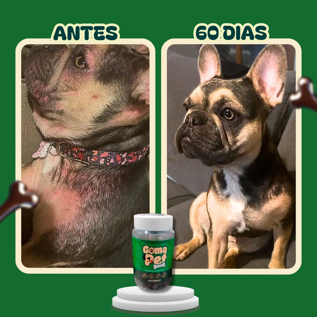 Registro de antes e depois da pele na região do pescoço de um cão